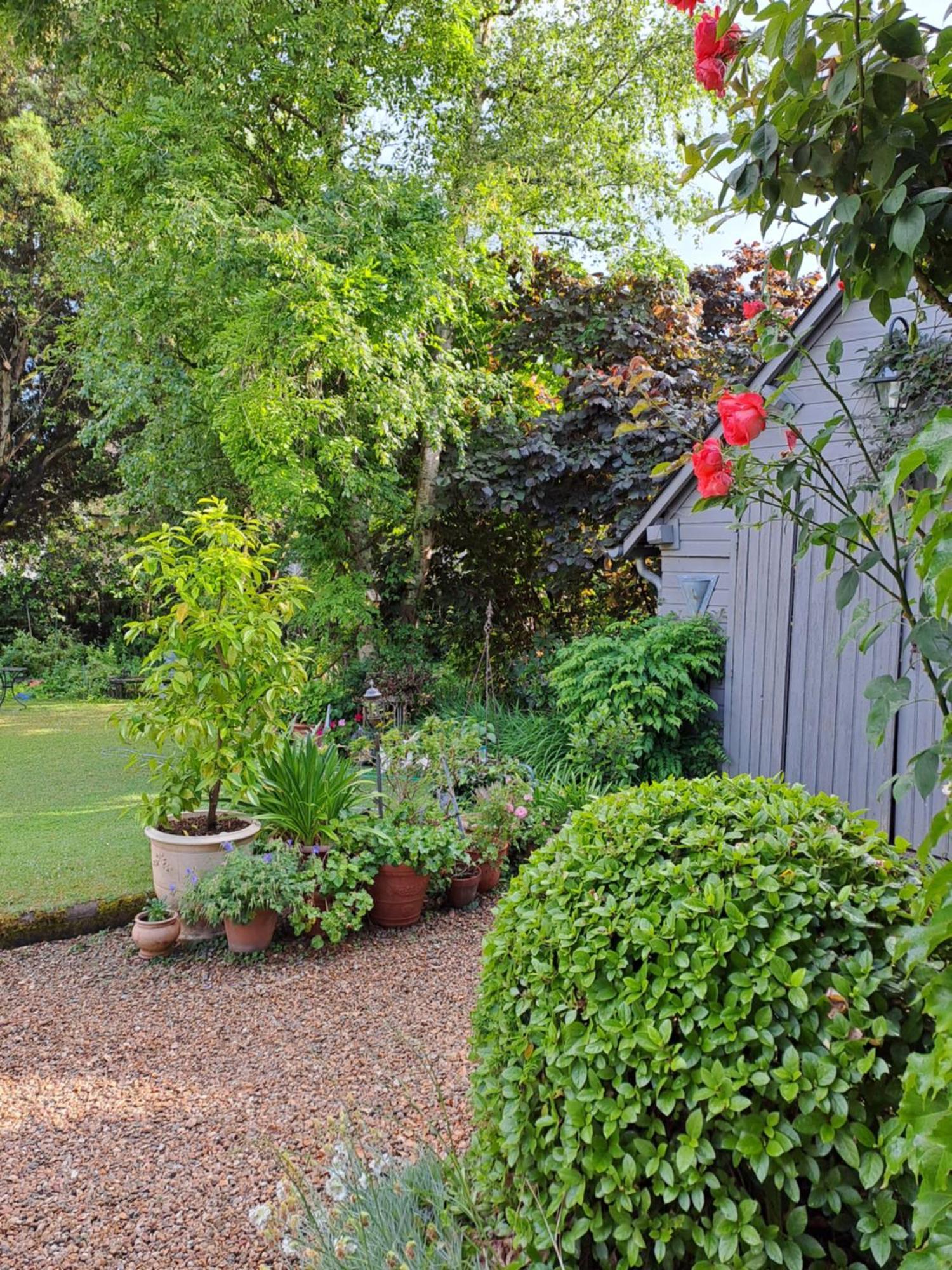 Le Clos Des Acanthes